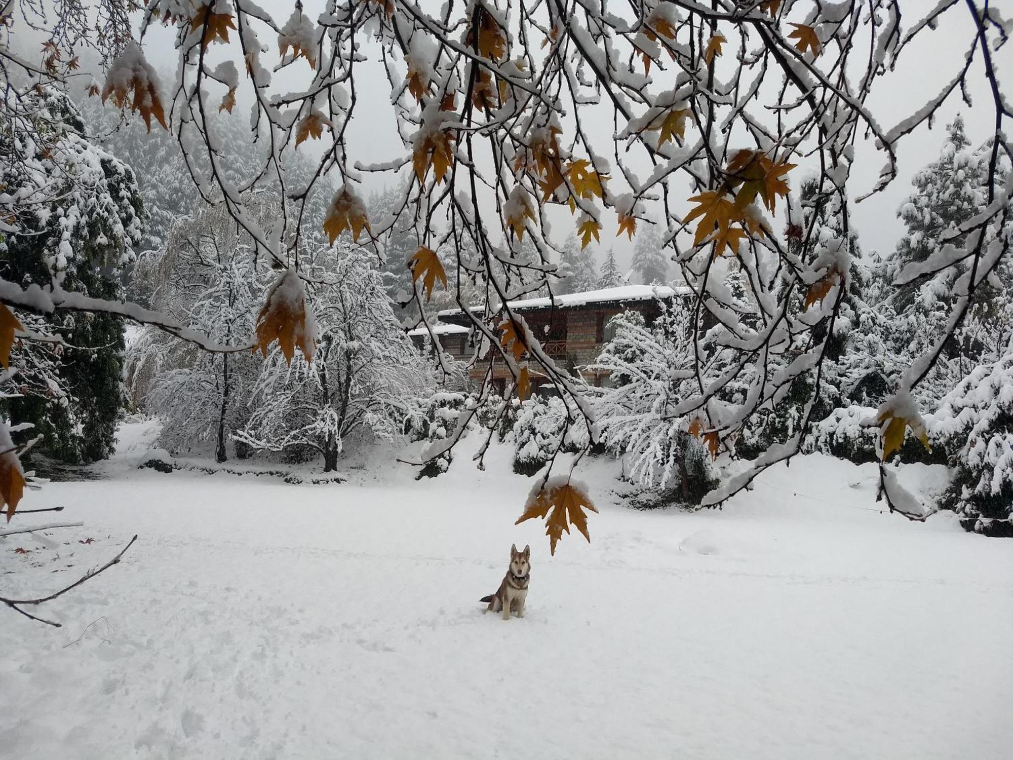 Banon Resorts Manāli Esterno foto