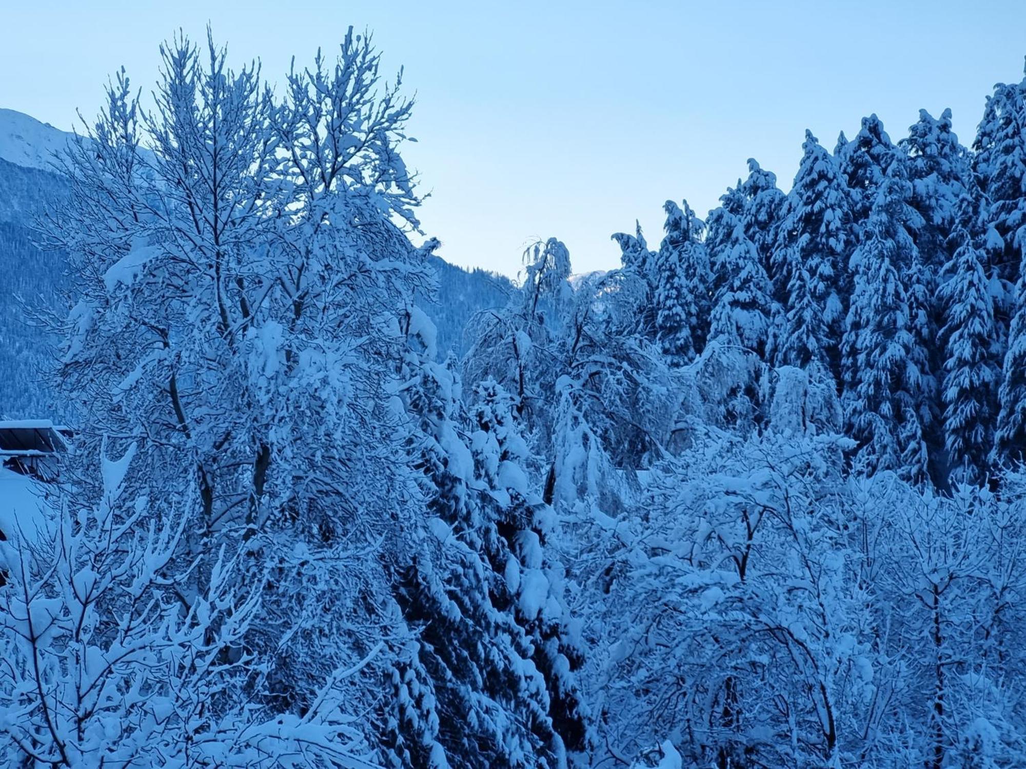 Banon Resorts Manāli Esterno foto